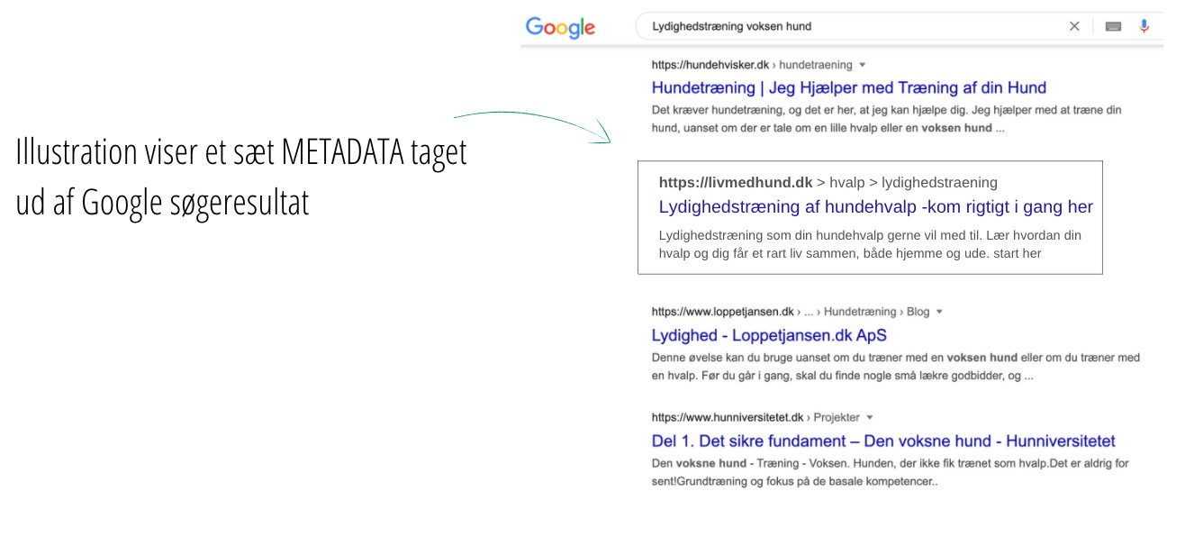 Metadata ses i Google søgeresultat og består af SEO titel, metabeskrivelse og sidens URL